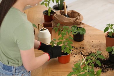 Woman planting seedling in pot at table indoors, closeup