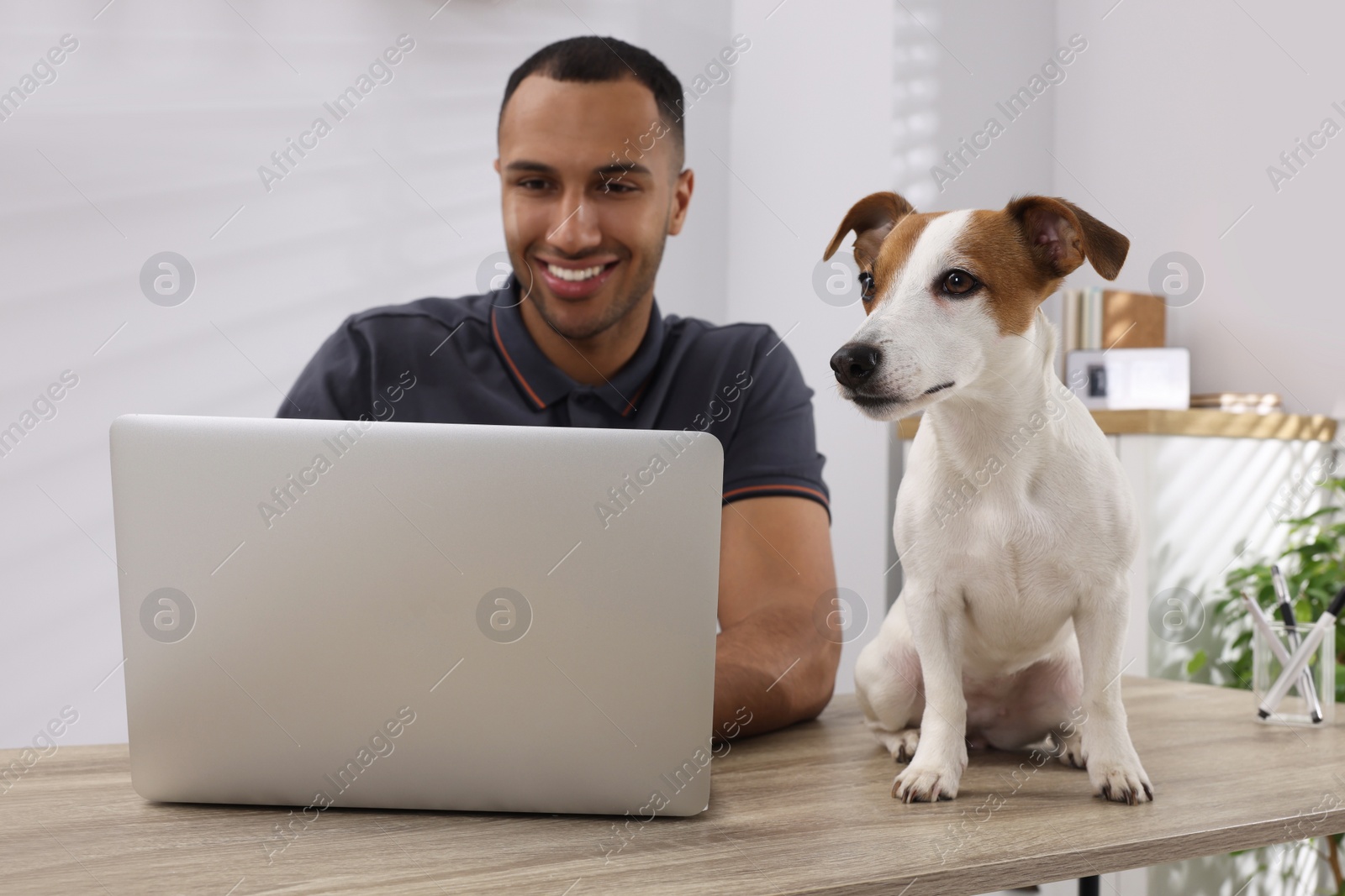 Photo of Young man with Jack Russell Terrier working at desk in home office