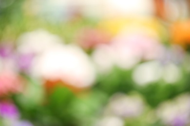 Blurred view of different blooming tropical flowers