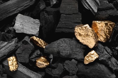 Photo of Shiny gold nuggets on coals, closeup view