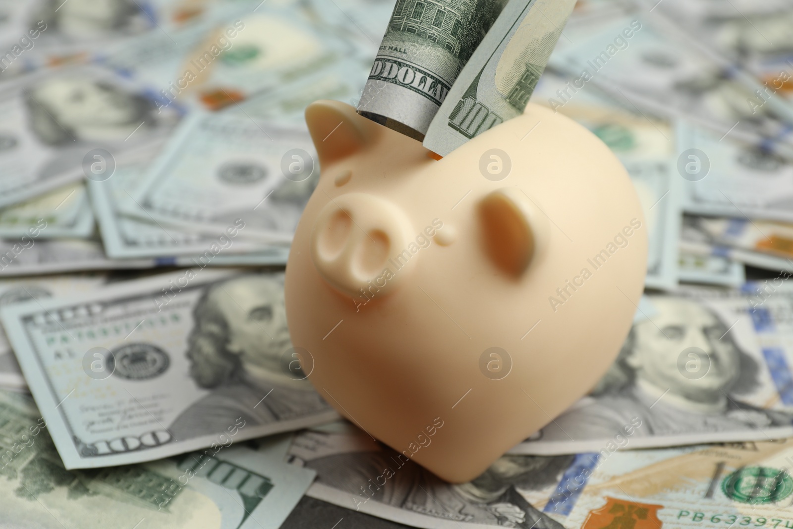 Photo of Money exchange. Dollar banknotes and piggy bank, closeup