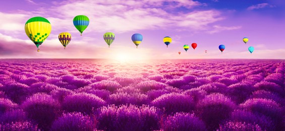 Image of Hot air balloons in sky over lavender field. Banner design