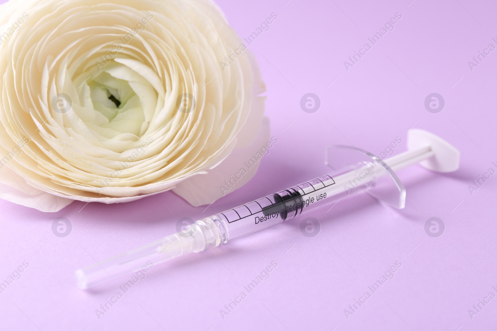 Photo of Cosmetology. Medical syringe and ranunculus flower on violet background, closeup