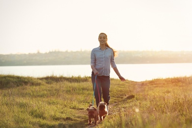 Young woman walking her adorable Brussels Griffon dogs near river