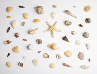 Different beautiful sea shells on white background, top view