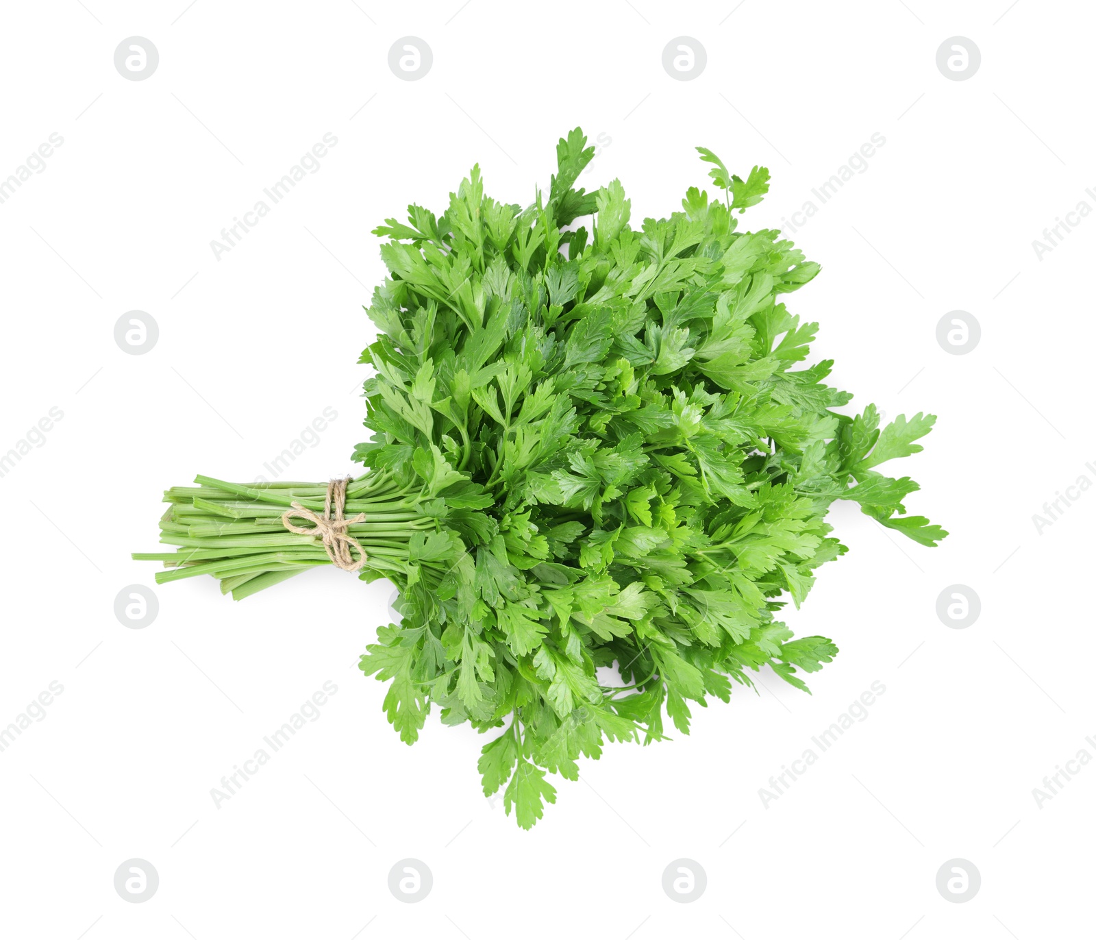 Bunch of fresh green parsley isolated on white, top view Photo of Bunch of fresh green parsley isolated on white, top view