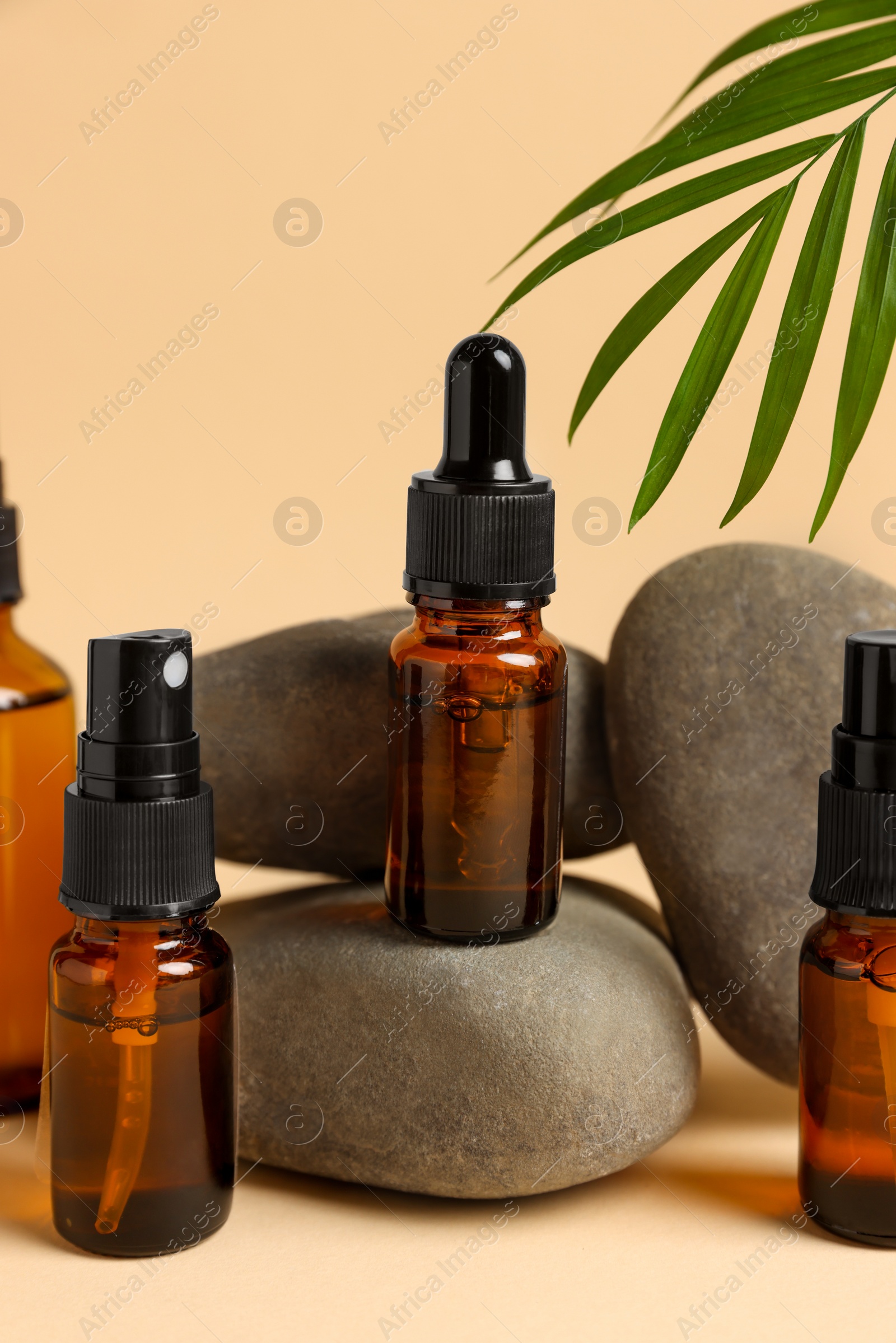 Photo of Bottles of organic cosmetic products, green leaf and stones on beige background