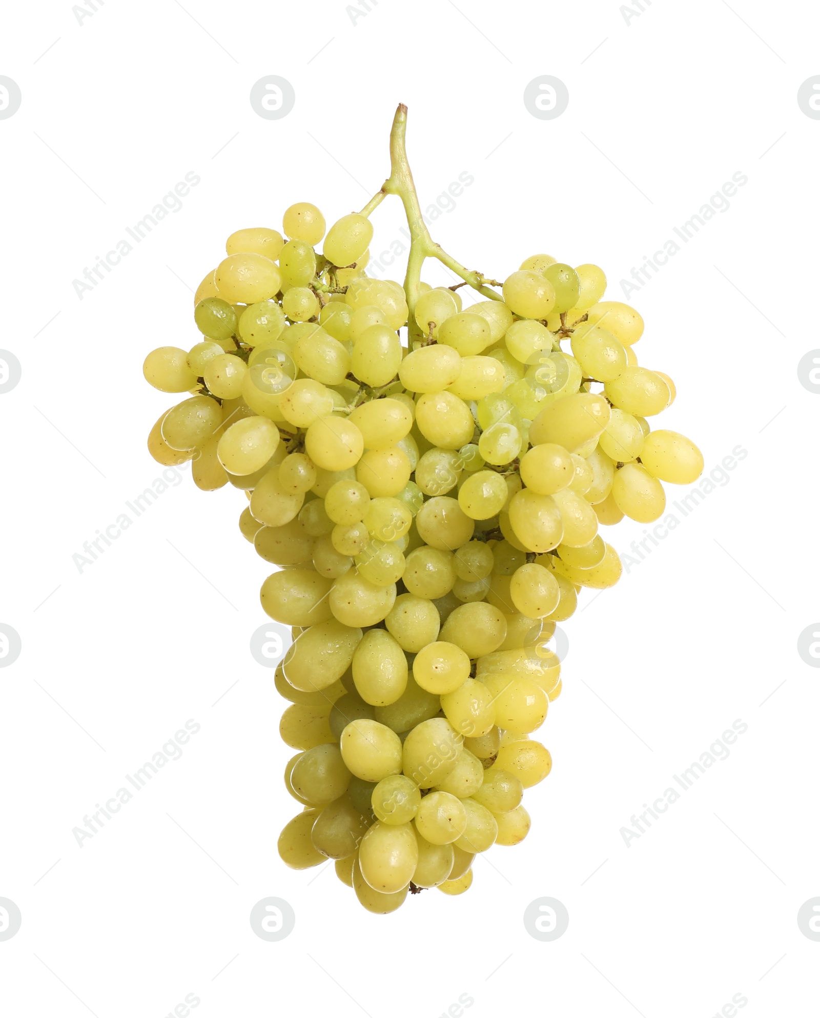 Photo of Bunch of fresh ripe juicy grapes isolated on white