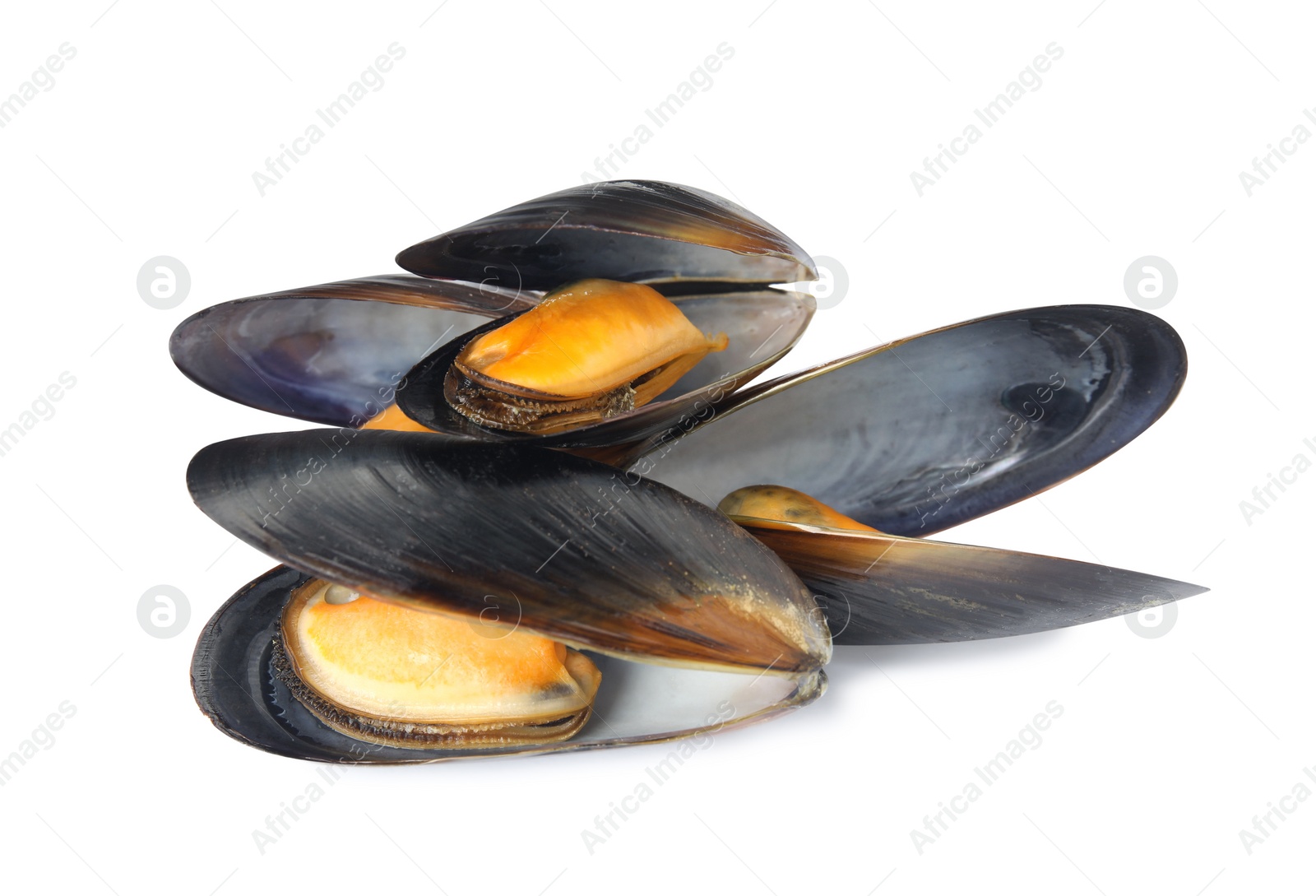 Photo of Delicious cooked mussels in shells on white background