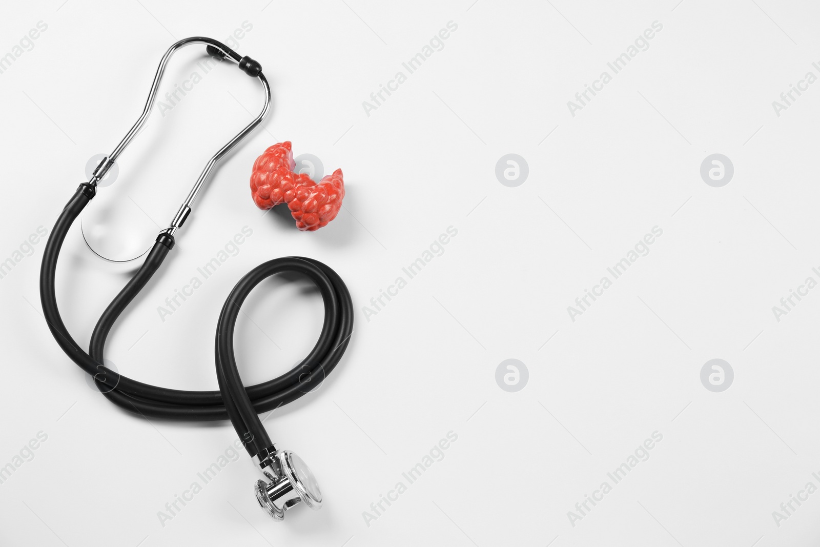 Photo of Endocrinology. Stethoscope and model of thyroid gland on white background, top view. Space for text