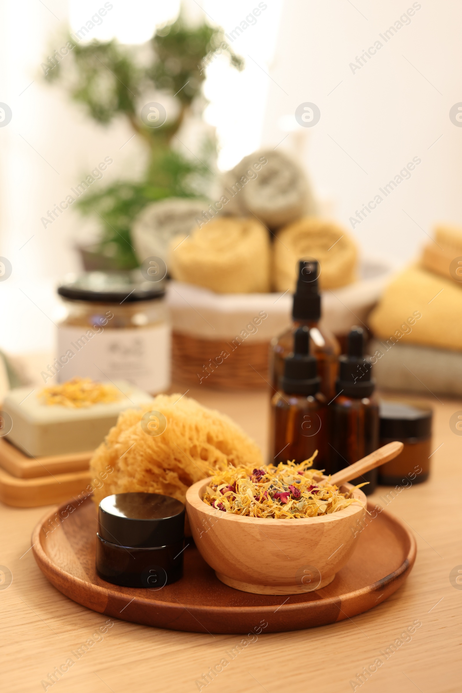 Photo of Dry flowers, loofah and jar of cream on wooden table, space for text. Spa time