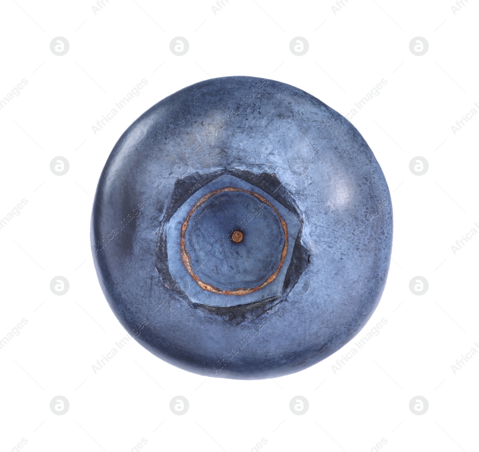 Photo of One fresh ripe blueberry isolated on white