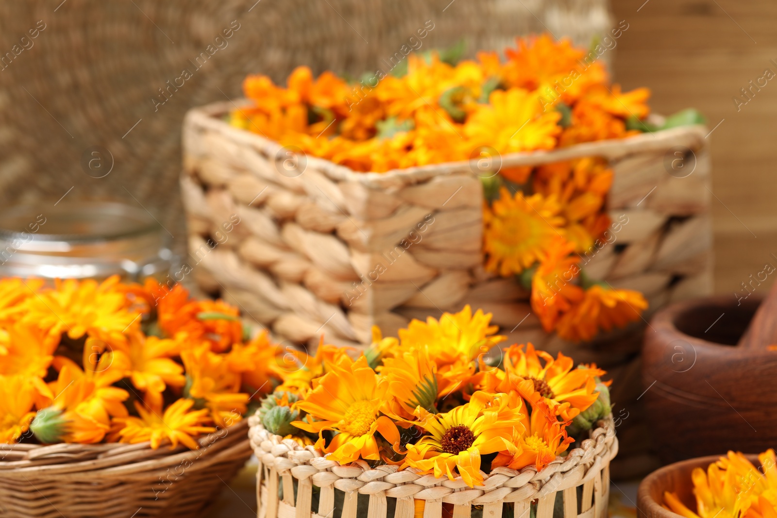 Photo of Many beautiful fresh calendula flowers on table