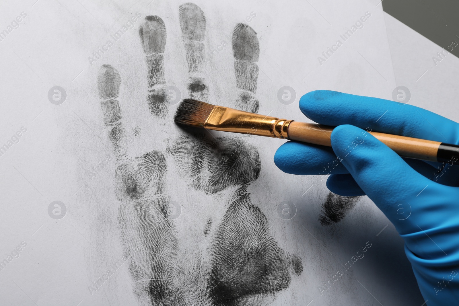 Photo of Detective taking fingerprints with brush from paper on grey background, top view.  Criminal investigation