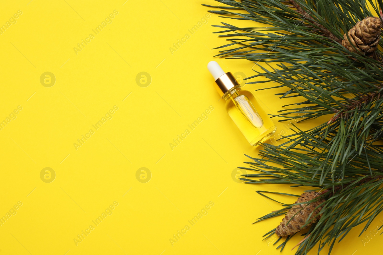 Photo of Glass bottle of essential oil and pine branch with cones on yellow background, flat lay. Space for text