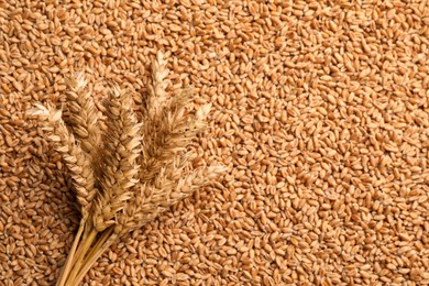 Photo of Spikelets on heap of wheat grains, flat lay. Space for text