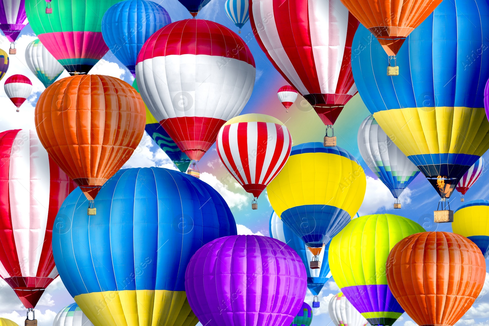 Image of Many bright hot air balloons flying in sky