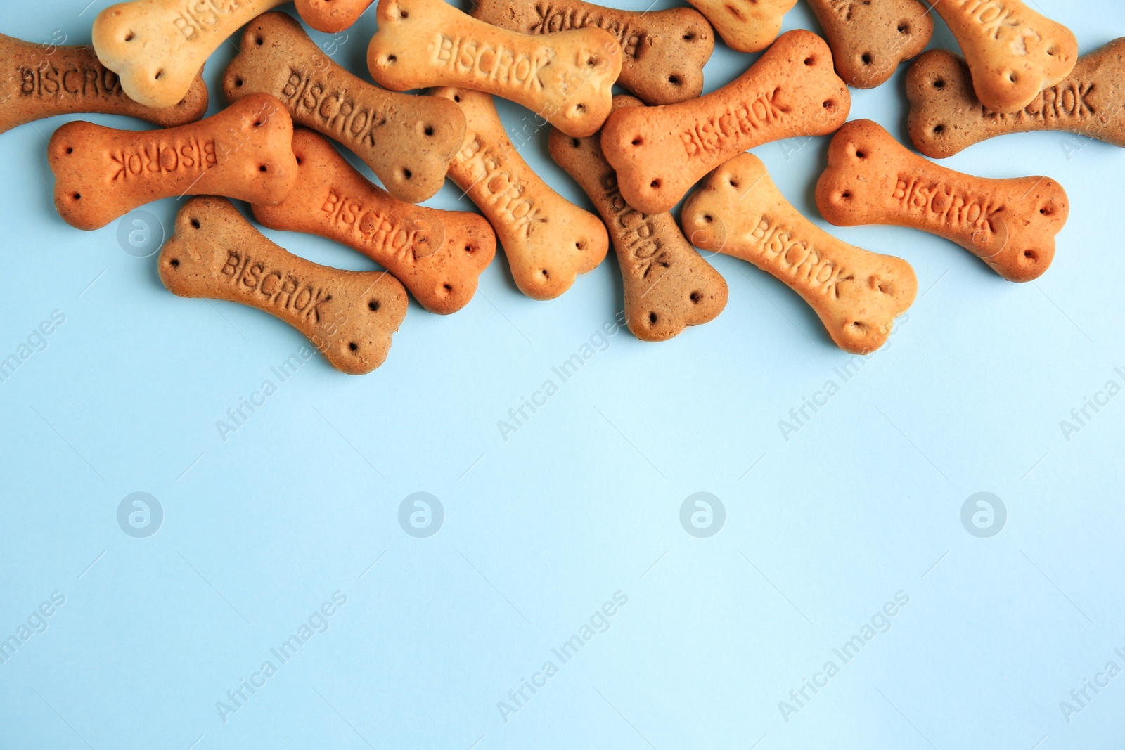 Photo of Bone shaped dog cookies on light blue background, flat lay. Space for text