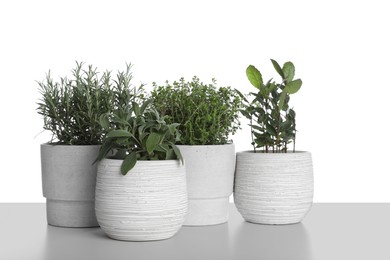 Photo of Pots with thyme, bay, sage and rosemary on white background