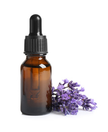 Bottle of essential oil and lavender flowers on white background