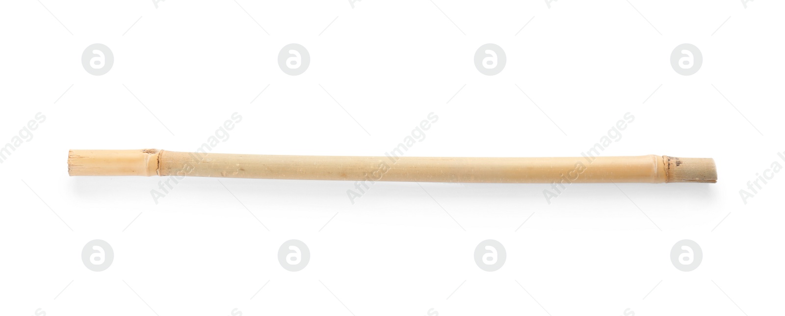 Photo of Dry bamboo stick on white background