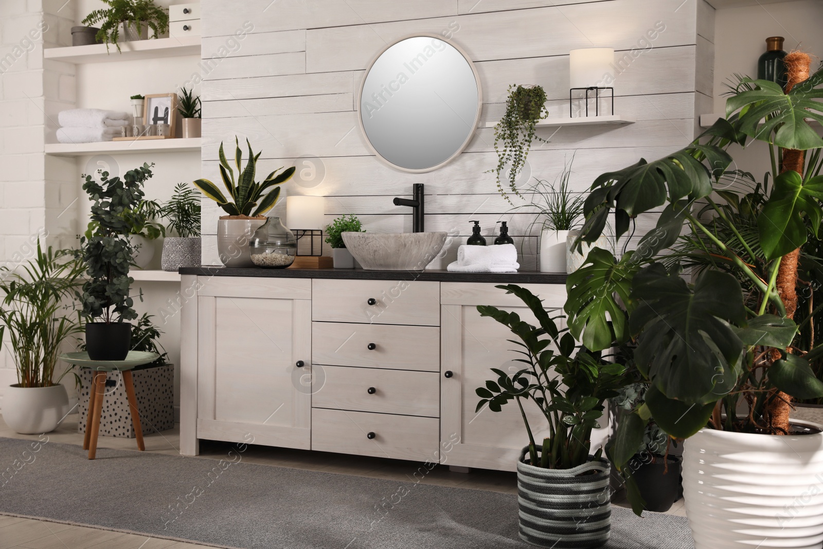 Photo of Stylish bathroom interior with vessel sink and beautiful plants