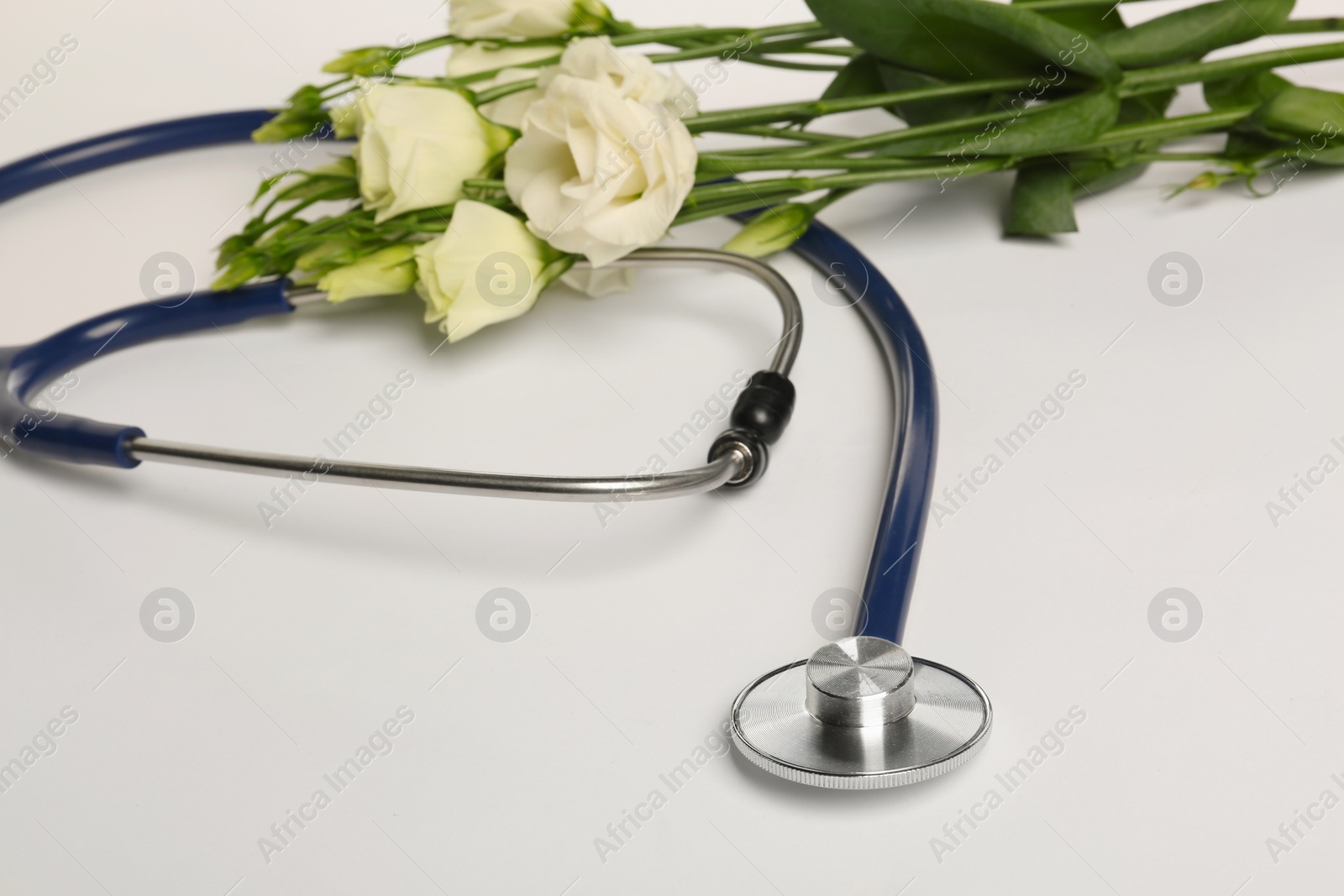 Photo of Stethoscope and eustoma flowers on white background. Happy Doctor's Day