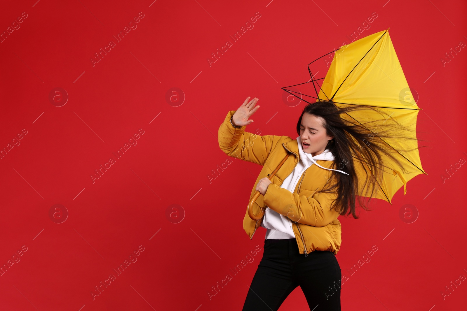 Photo of Emotional woman with umbrella caught in gust of wind on red background. Space for text