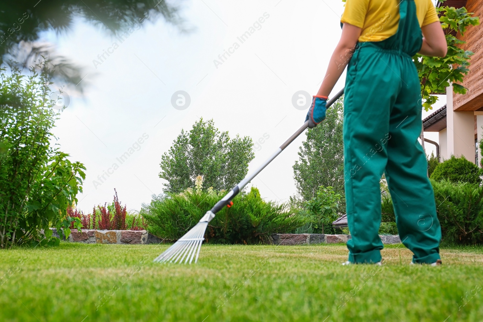 Photo of Woman raking green lawn at backyard. Home gardening