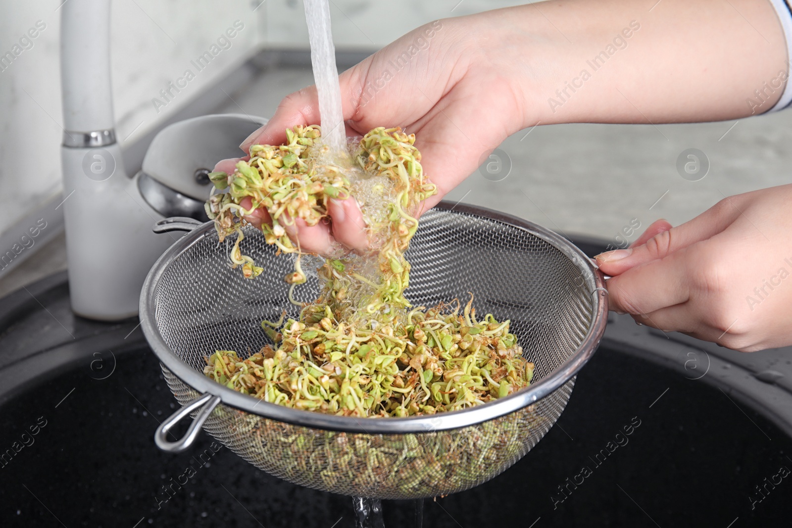 Photo of Woman washing sprouted green buckwheat over sink, closeup