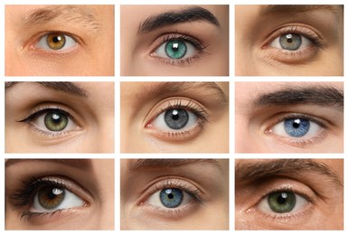 Image of Collage with photos of people with beautiful eyes of different colors