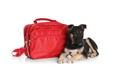 Photo of Cute puppy with first aid kit on white background