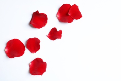 Red rose petals on white background, top view