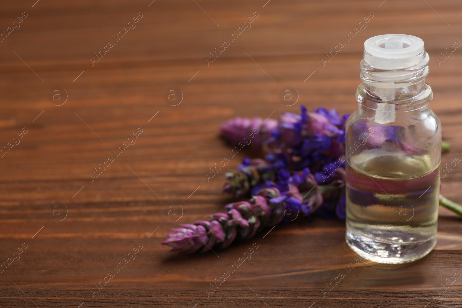 Photo of Bottle of sage essential oil and flowers on wooden table, space for text