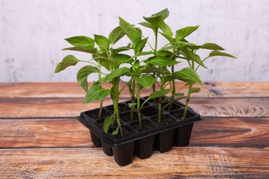 Photo of Seedlings growing in plastic container with soil on wooden table. Gardening season