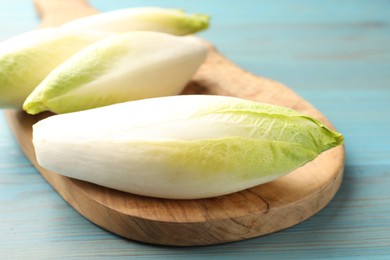 Photo of Fresh raw Belgian endives (chicory) on light blue wooden table, closeup