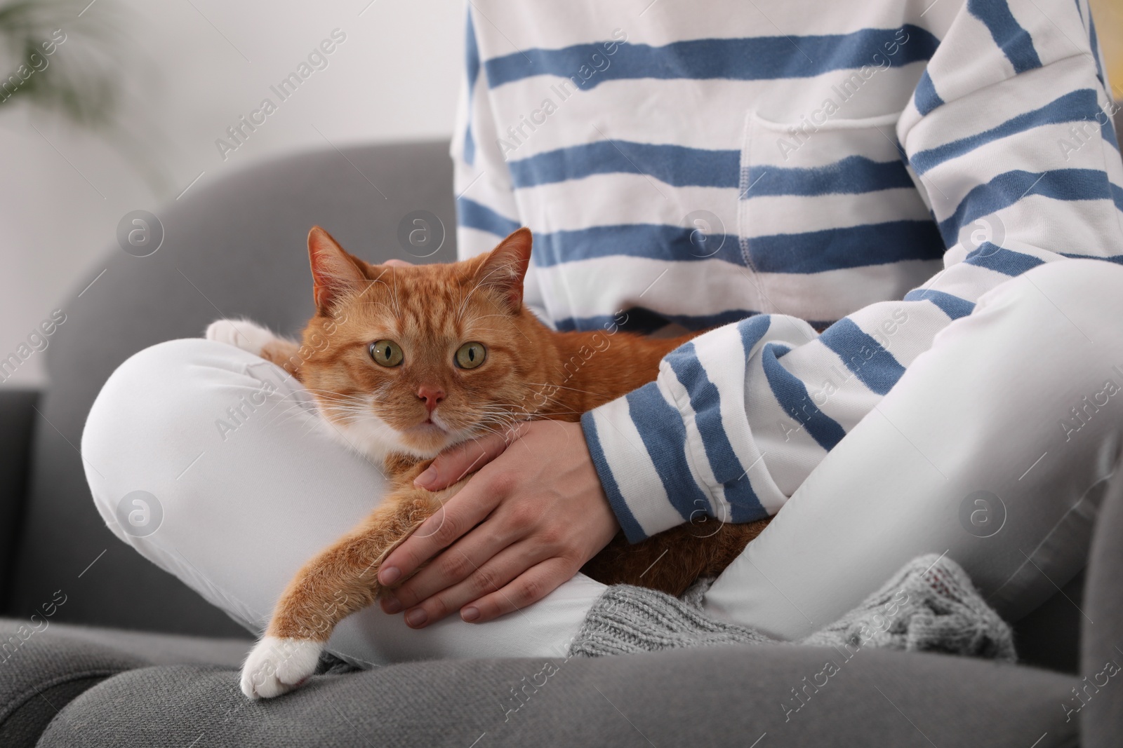 Photo of Woman with her cute cat on sofa at home, closeup