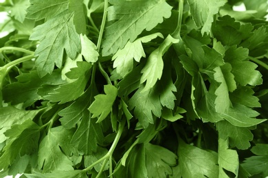 Photo of Fresh green organic parsley as background, closeup