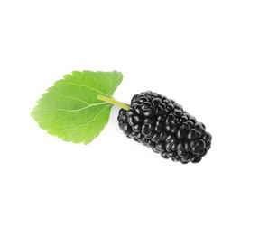 Photo of One black mulberry with leaf on white background, top view