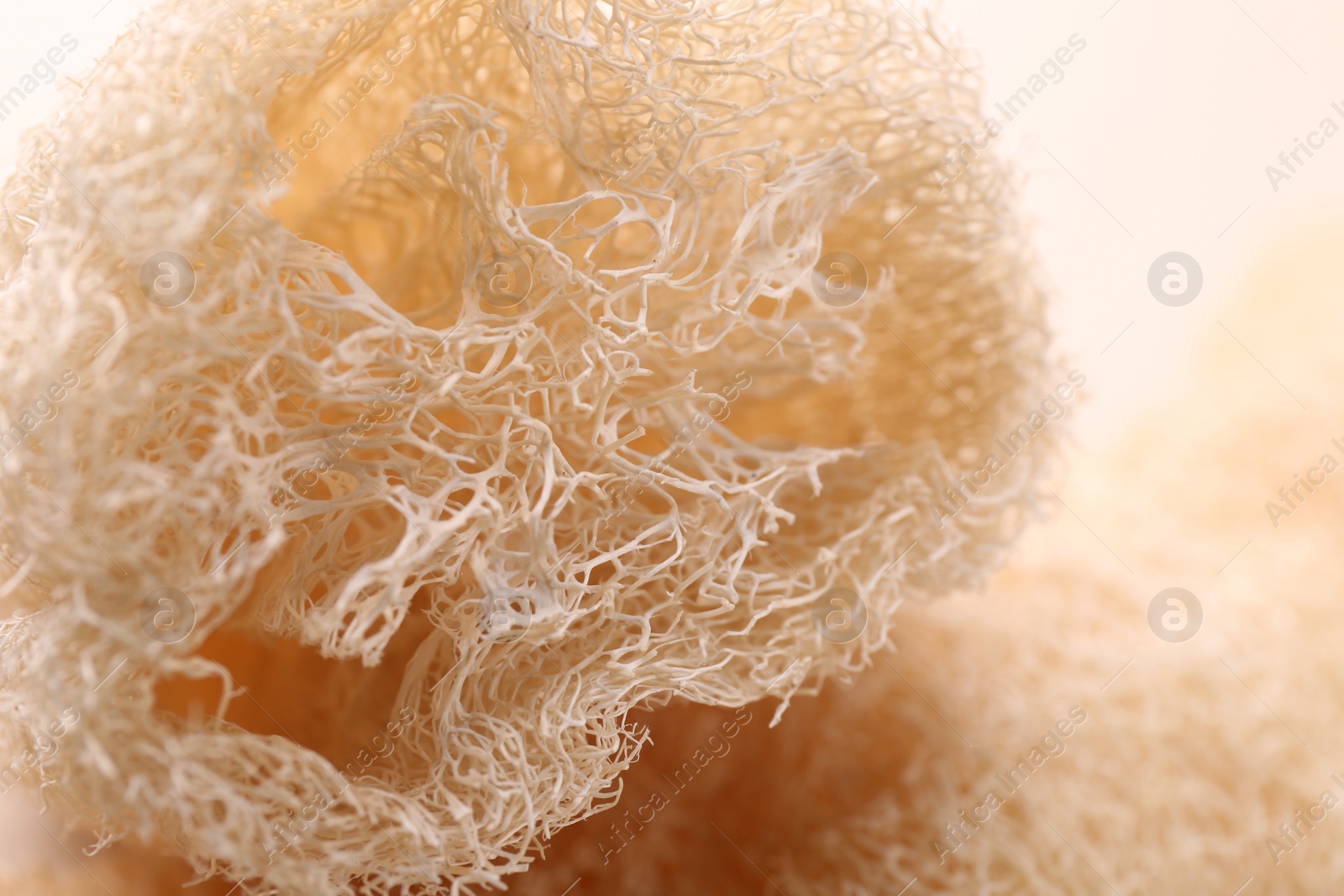 Photo of Natural loofah sponge as background, closeup view