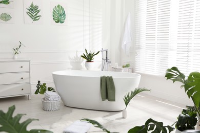 Stylish bathroom interior with green plants. Home design