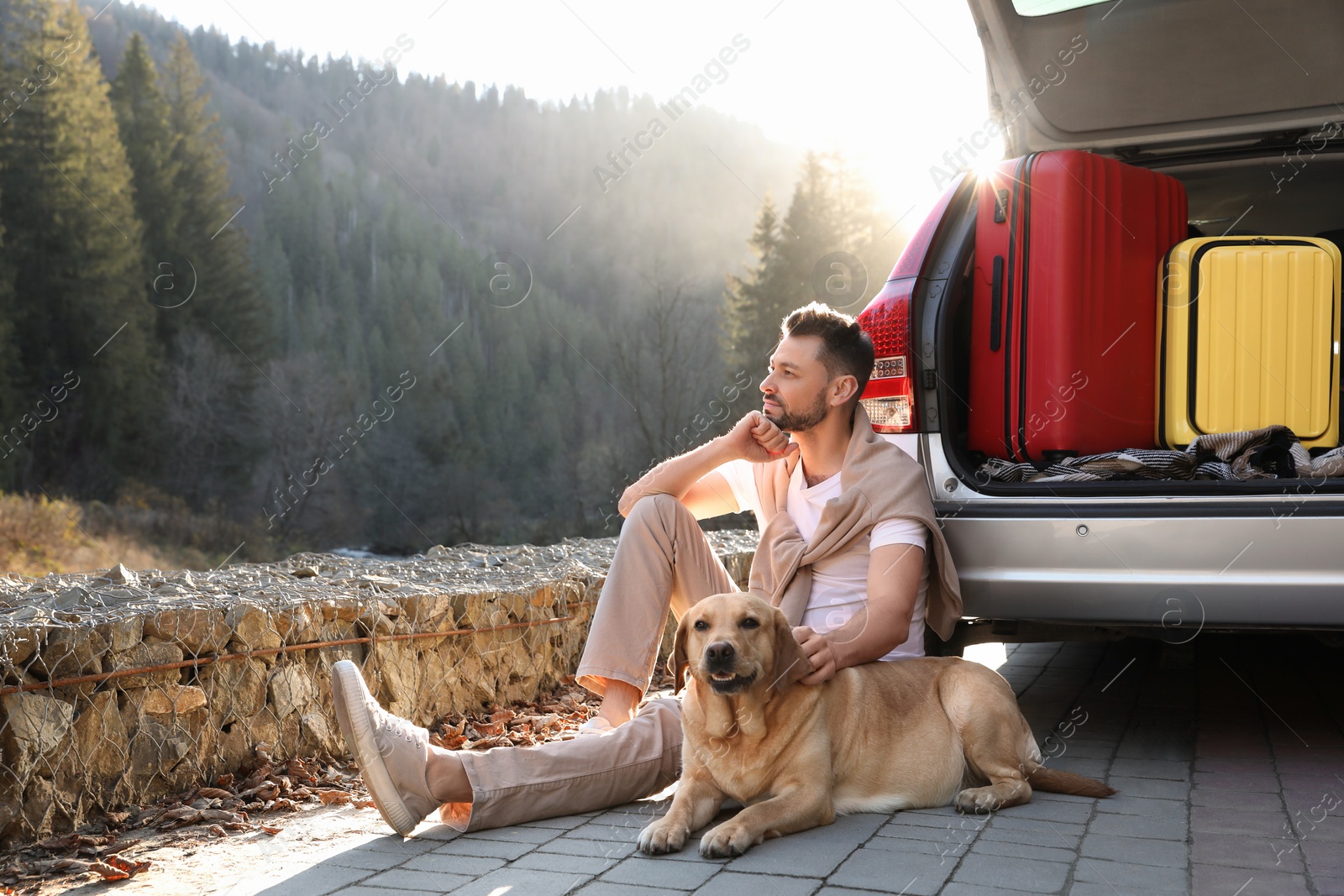 Photo of Man and adorable dog sitting near car in mountains. Traveling with pet