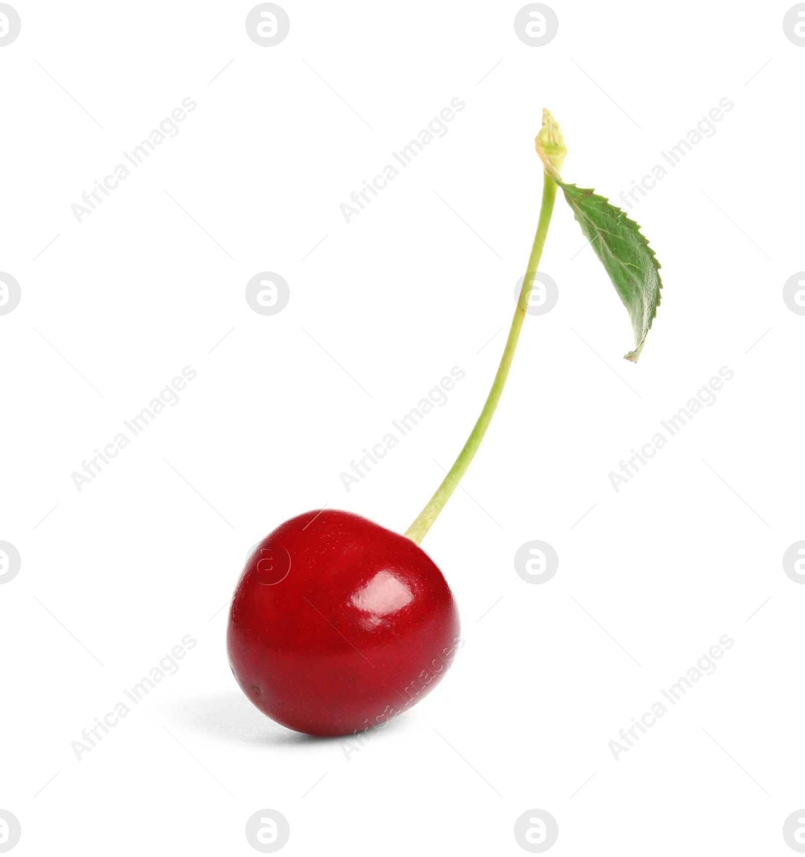 Photo of Delicious ripe sweet cherry on white background