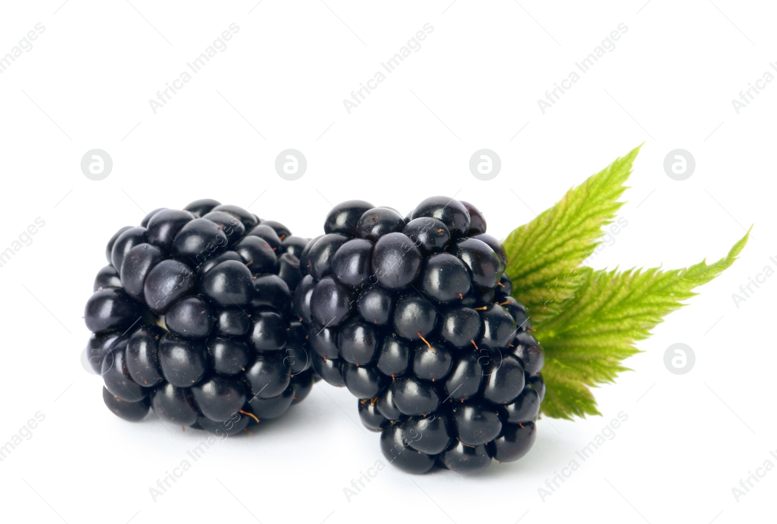 Photo of Fresh ripe juicy blackberries on white background