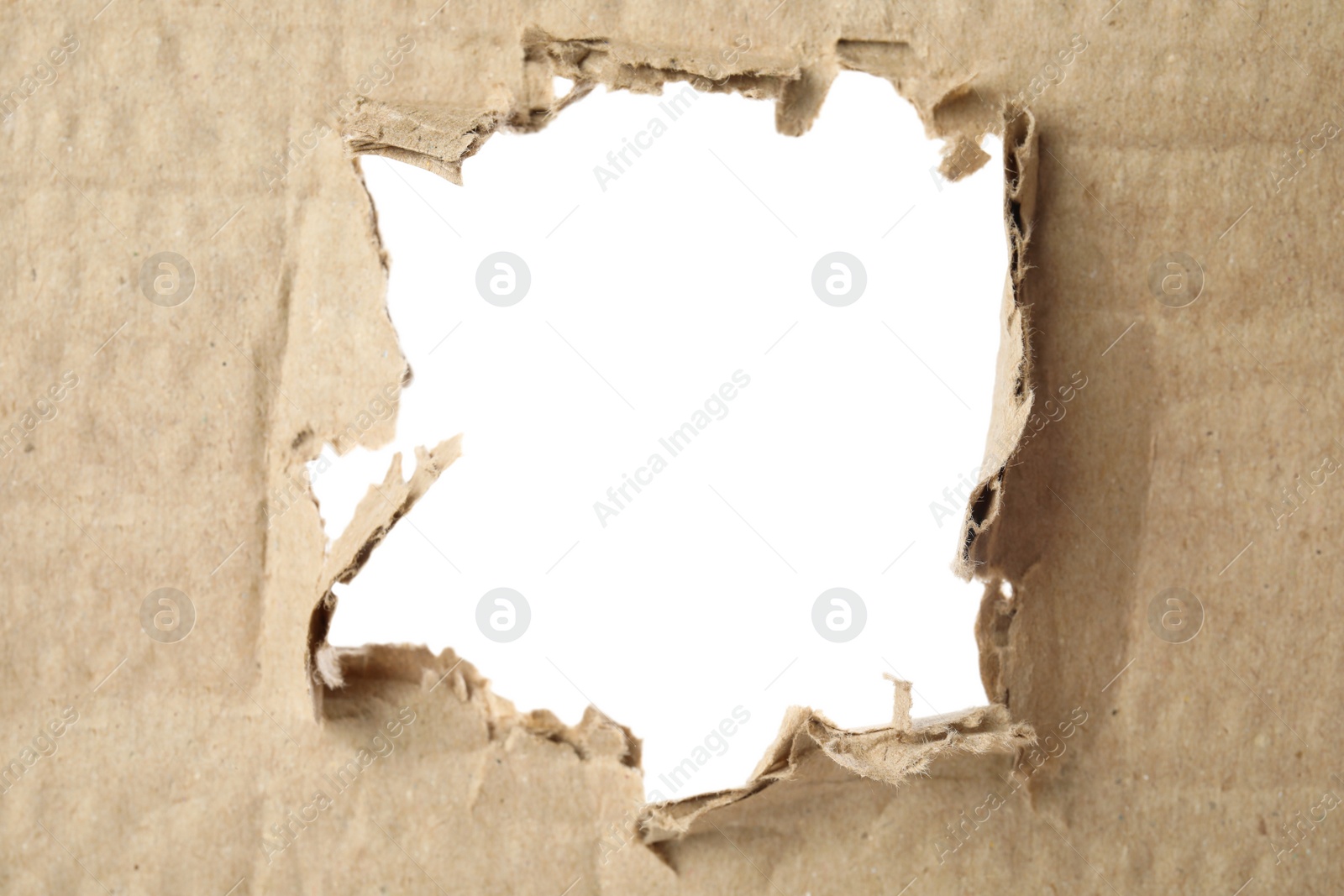 Photo of Hole in brown cardboard on white background