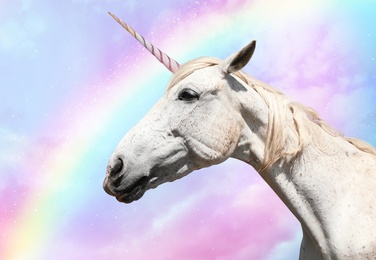 Image of Magic unicorn in beautiful sky with rainbow and fluffy clouds. Fantasy world