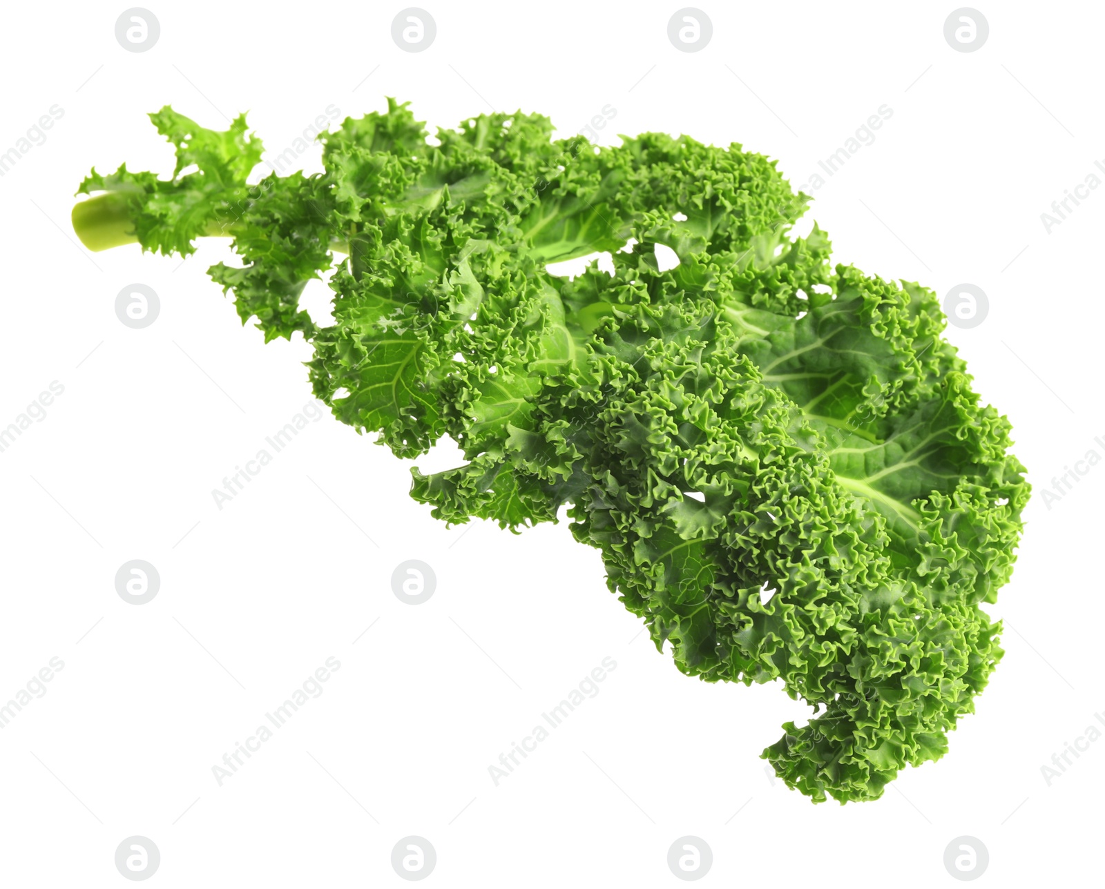 Photo of Fresh green kale leaf isolated on white