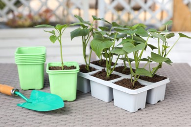 Vegetable seedlings growing in plastic containers with soil and trowel on light gray table