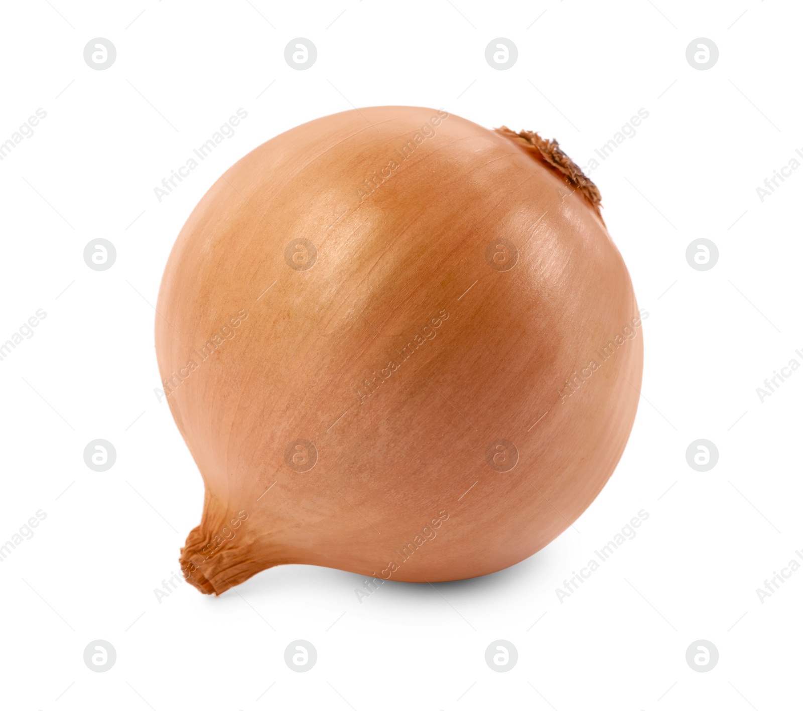 Photo of One yellow fresh onion isolated on white