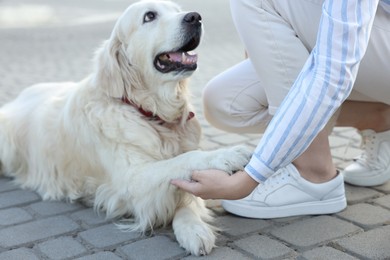 Woman holding dog's paw on city street, closeup